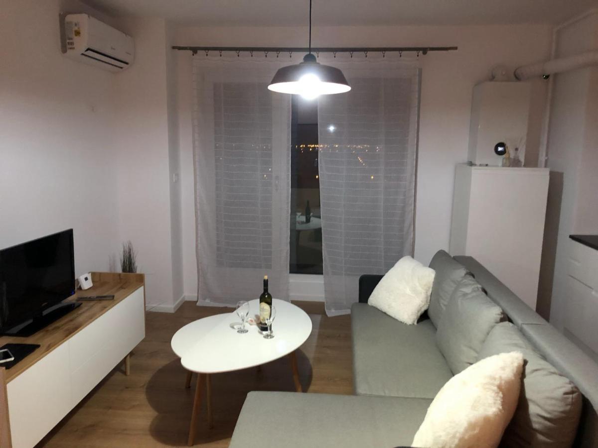 Chronos Apartment - Modern And Stylish Тимишоара Экстерьер фото